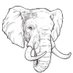 # (@njoguthreeling) Twitter profile photo # (@njoguthreeling) Twitter profile photo