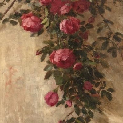 drma_23's profile picture. PharmD student at #SU - Saudi Arabia💚