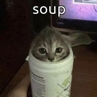 xetnec's profile picture. 