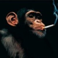 this guy fawkes (@rocks_boffin) 's Twitter Profile Photo