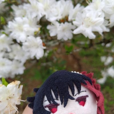 紋白🍙さんのプロフィール画像
