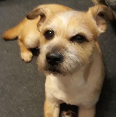 DLBHORROR's profile picture. Glitching with MND while I write to keep my sanity. Here for horror. If your past catches up to you, slam the door on its face before it makes itself comfy.