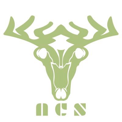 ACS Texas Profile