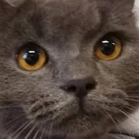 🫐 Filip Wszołek 🫐 (@filipwszolek) 's Twitter Profile Photo