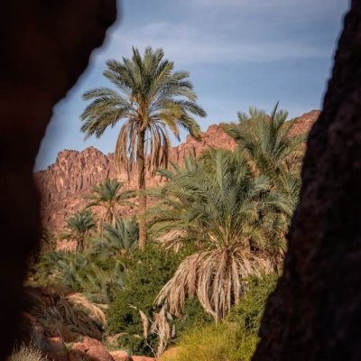 يا غافلاً وله في الدهر موعظةُ*** إن كنت في سِنةٍ فالدّهر يقظان