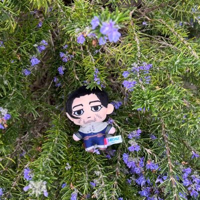 ぎょーざさんのプロフィール画像