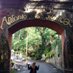 Arutala 🇲🇨 (@lh_265) Twitter profile photo Arutala 🇲🇨 (@lh_265) Twitter profile photo