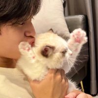 Alinghh🥬 (@_minminso) 's Twitter Profile