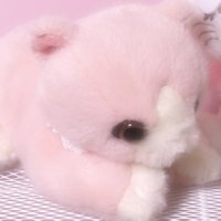 ๐๐ช๐ (@maa_reds) 's Twitter Profile