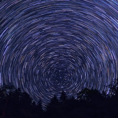 HardyWong226536's profile picture. 