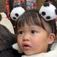 とおる (@e_codes_4) 's Twitter Profile