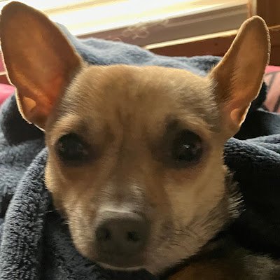 marleychamp123's profile picture. 