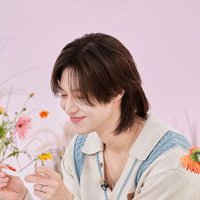 stelle ✿ (@taemin_solace) 's Twitter Profile
