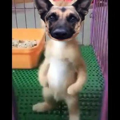 VALDEPOSTING's profile picture. Tutorial de como dejar morir una cuenta
Valde:
https://t.co/FpmWtneOFQ
https://t.co/xLEv7WFj36
https://t.co/TNGtaLjl6y