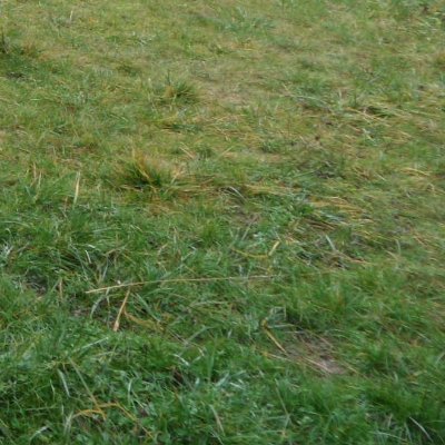 temopair's profile picture. 