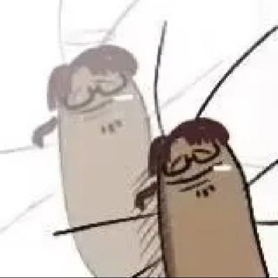 linjian2431's profile picture. 