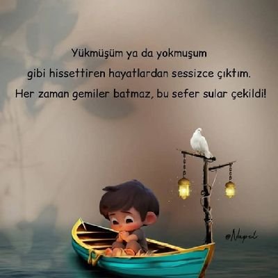 isaogluyasir Profile Picture