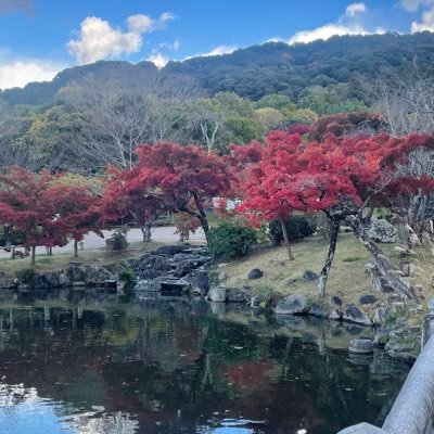 ohanachan2711's profile picture. 思春期ボーイ×２のシングルマザー 物価高に負けない生活目指してます！