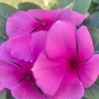 Fernand1176074's profile picture. Onliy