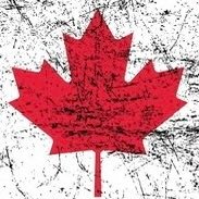 Canada Hates Trump (@antitrumpcanada) 's Twitter Profile