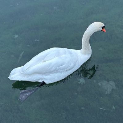 Annamaria1897's profile picture. Sono finalmente tornata col mio vecchio account @Anna_1897 💪🏼lascio questo aperto perché non si sa mai 😂😂 amo soltanto due color ⚪️⚫️ Juventina nell’anima