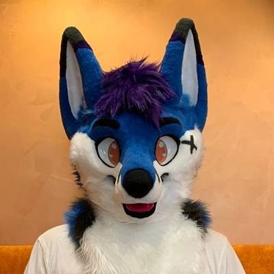 🌟 Dominant switch fox 🦊 🇵🇱| dm for colab | +18 only 🔞 |