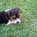 brian alles - @AllesBrian - Twitter