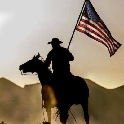 Old_Route_66's profile picture. OVER 14.3K VIDEOS POSTED ON #Gold, #Silver, #SoundMoney, Economics, Politics, Geo-Politics, #MAGA, #2A, #FAFO, and other news.