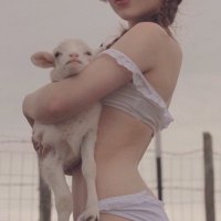 estelle ୨୧ (15.3/25 lbs) (@lowestkcals) 's Twitter Profile Photo