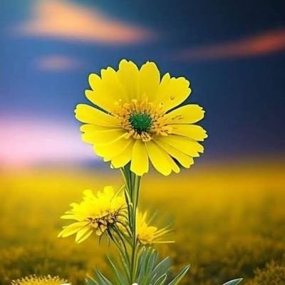 gulshannagpal1's profile picture. 