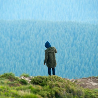 BerlinParlar's profile picture. 