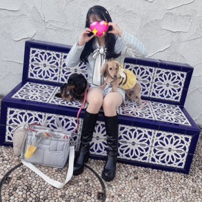 mau_mapitan's profile picture. 親バカ炸裂アカウント🩵ミミ🐶🩵♀(MD ブラックタン🎂2021.4.24🏠2021.8.1)🩵アム🐶🩵♀(MD シェーデッドレッド🎂2022.5.29 🏠2022.9.6)と👩🏻の3にん(匹？)暮らし🩵無言フォロー失礼します🙇‍♀️💦＆無言フォロー大歓迎です🫶🩵