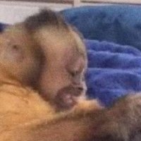 llucxs (@llucsxs) 's Twitter Profile