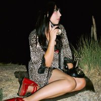 Lily Forte (@lily_forte) 's Twitter Profile
