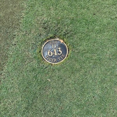 IndyJerome's profile picture. '05 USF Bull,