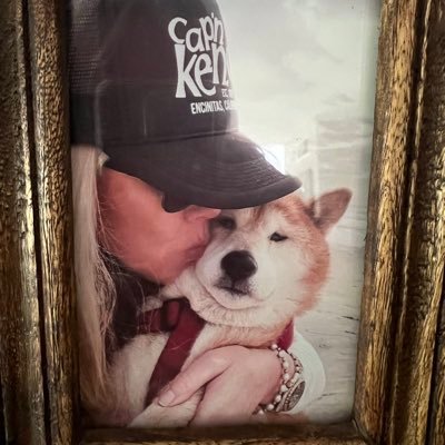 LTEncinitas's profile picture.