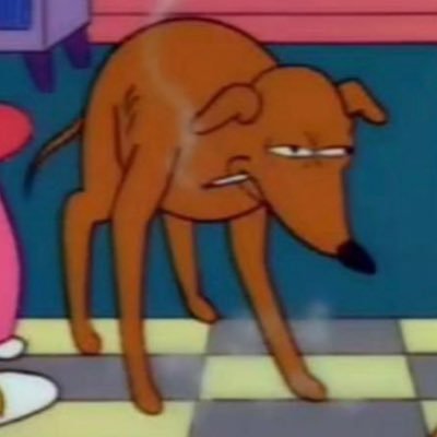 jbo_vernon's profile picture. Story Desk Editor — @WFMY. He/him. UNC '17. Probably at the dog park. Opinions are my own.