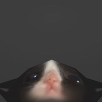 Madara (@madaraftr) Twitter profile photo