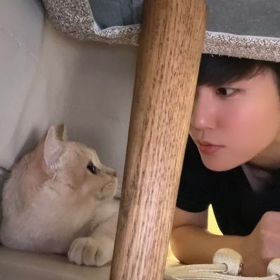 King_camekochan's profile picture. 🦭🦦🐕🐈🦧🦥