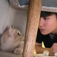 きんぐ (@king_camekochan) 's Twitter Profile Photo きんぐ (@king_camekochan) 's Twitter Profile Photo