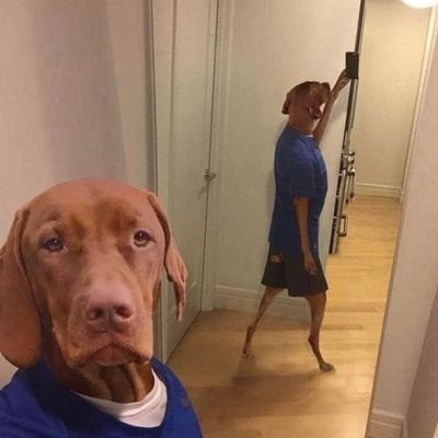 xNasTaaz's profile picture. 