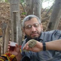 محمد الضيف (@mhamaddeeif) 's Twitter Profile Photo محمد الضيف (@mhamaddeeif) 's Twitter Profile Photo