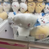 りまちゃん (@manalove_uoxou) 's Twitter Profile