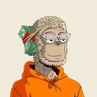 WallStreetMemes (@street_wal56084) Twitter profile photo