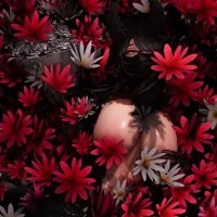 Lunaely (@lunaelyloom) 's Twitter Profile Photo Lunaely (@lunaelyloom) 's Twitter Profile Photo