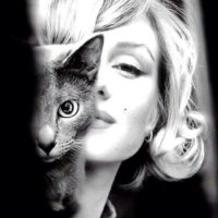 CharliesAngel007 (@loe_patriot1111) 's Twitter Profile
