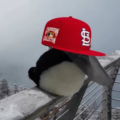 HenceSZN's profile picture. ❌🛗