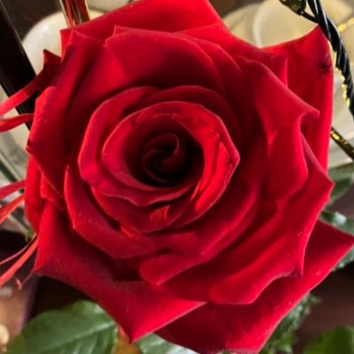 NorahSarah50747's profile picture. NO DMs, please