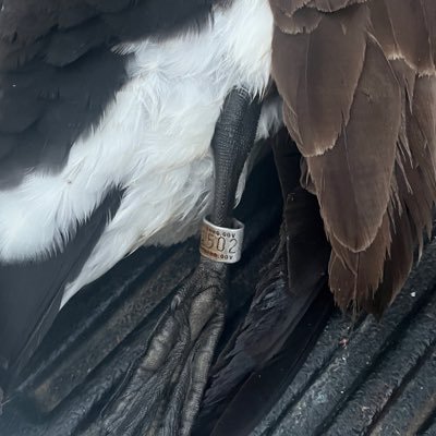 Eddie748163827's profile picture. 