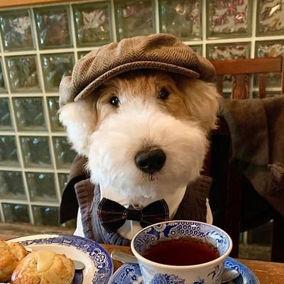 Kaaaiさんのプロフィール画像